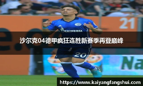 沙尔克04德甲疯狂连胜新赛季再登巅峰