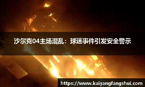 沙尔克04主场混乱：球迷事件引发安全警示